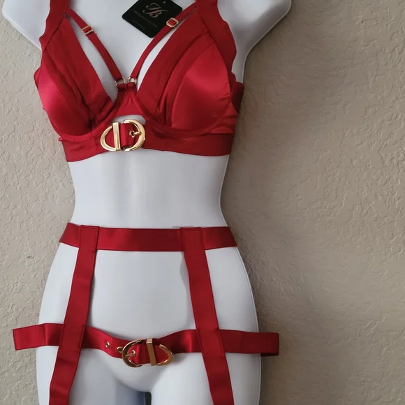 Honey Birdette Red Bra with Gold Accents - Picture 3 of 10